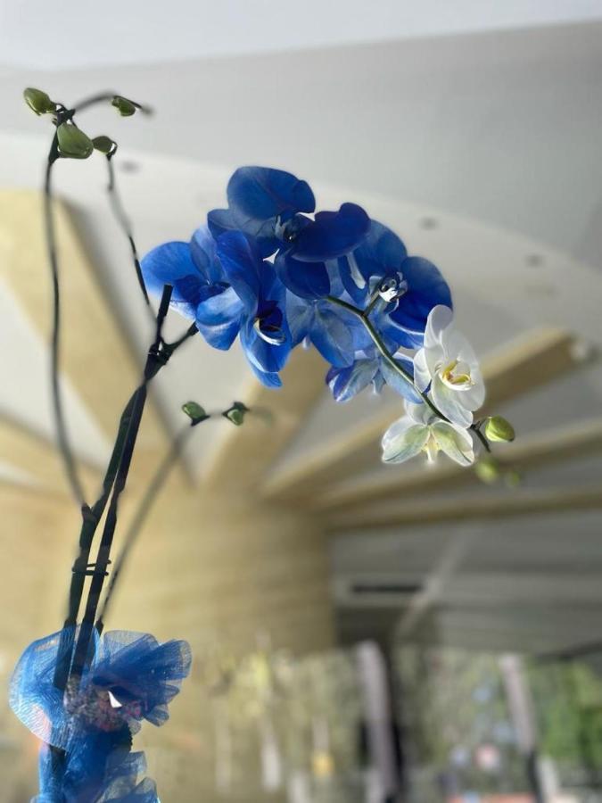 Oasi Park Hotel Mascali Dış mekan fotoğraf